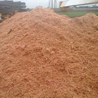 Sawdust, wood shaving