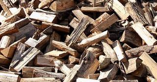 Pine